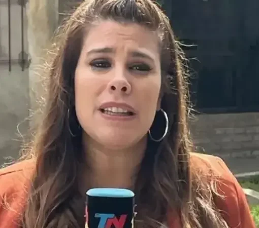 insigna nuevon canal